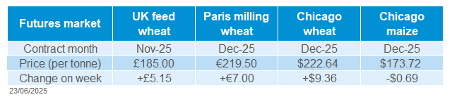 global grains 23 06 202572